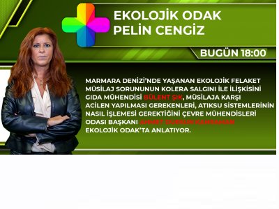 Ekolojik Odak‘ta Marmara Denizi‘nde yaşanan ekolojik felaket konuşuluyor.